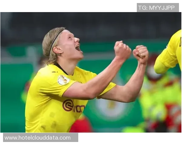 陆丰足球球星实力排名揭晓 各位顶尖球员风采展现